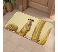 Front Door Mat Heavy Duty Bathroom Rugs Welcome Mat for Outdoor Indoor Meerkat by Cactus Super Absorbent Bath Rugs for Entryway Outside Patio Porch, 50x80cm