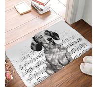 Front Door Mat Indoor Outdoor Entrance Welcome Mat Non Slip Floor Mat Dachshund Music Notes Doormat for Entryway Rug Inside Outside Entry, Porch, Bathroom Rug Carpet 16" x 24"