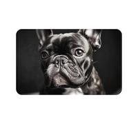 Front Door Mat Indoor Outdoor Welcome Mat, French Bulldog Doormat Easy Clean Entryway Mats Stain and Fade Resistant Entry Rug Absorbent Flannel Bath Mats 19.5 x 31.5 Inch