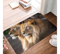 Front Door Mat Outdoor Indoor Welcome Mats 24" x 16" Non Slip Floor Mat Two Lions Doormat for Entryway Rug Front Porch Laundry Bathroom Bedroom Rug Entryway Carpet