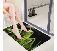 Front Door Mat Outside 20x32 Absorbent Entrance Diatomaceous Earth Bath Mat Non-Slip Rubber Entry Grasshopper on Grass Doormat Quick-Dry Welcome Mats 0.15" Slim Area Rug for Bathroom Entryway