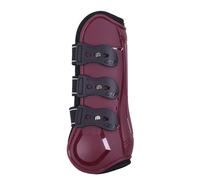 Front gaiters for open horses QHP Champion