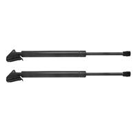 Front Hood Gas Spring For BMW E46 323Ci 323i 325i 328i 330Ci 51238202688 2PCS Car Bonnet Hood Lift Supports Shock Piston Struts