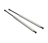 Front Hood Lift Struts Bonnet Lifter For Civic For Type For R FN2 2007-2011 Hatchback EUR Version Front Hood Bonnet Gas Struts Lift Support Shock Damper Charged Spring(Carbon Fiber Silver)