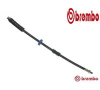 FRONT / INNER/ LEFT/ RIGHT/ UPPER BRAKE HOSE T 61 008 BREMBO I