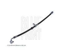 Front Left Brake Hose BluePrint for Civic ADH25377 Top Quality 3yrs No Quibble W