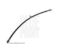 Front Left Brake Hose BluePrint for Probox / Succeed Yaris/Vitz Yaris Verso Fun