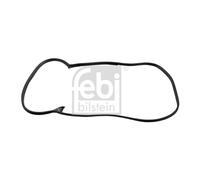 Front Left Door Seal Febi for 124 E-Class 08875 Top German Quality