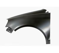 Front Left Fender Fits: VW POLO IV 9N3 04.05-11.09