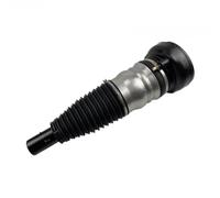 Front Left Or Right Air Suspension Strut Fit For A8 D5 Quattro 16-21 4n4616040f Car Shock Absorber(Front left)