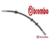 FRONT / LEFT/ RIGHT BRAKE HOSE T 24 035 BREMBO I