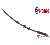 FRONT / LEFT/ RIGHT BRAKE HOSE T 24 049 BREMBO I