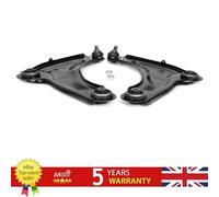 Front Left/Right Suspension Control Arms Kit 545016805R