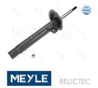 Front Left Shock Absorber Strut BMW:E46,3 31312282459 31306757043 31311096851