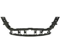 Front mask front frame lock carrier fits to: FORD MUSTANG 01.15-07.18