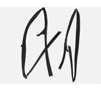 Front Pair Door Glass Run Channel Rubbers for D22 (1998-2005) Oem 80331 to 2s400 80330 to 2s400 Black Rubber Weatherstrip Seal