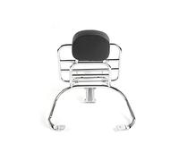 Front Rack For Spring/Sprint 150, Akozon Rear Luggage Rack, Motorcycle Luggage Rack Silver Rear Luggage Rack Rear Luggage Shelf Luggage Carrier Bracket with Backrest Cushion for Sprint Pri