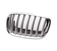 Front Radiator Grilles For X5 For X6 E70 E71 E72 2007-2010 2011 2012 2013 51137185223 51137185224 Car Front Center Mesh Grill Silvery(6 Left)