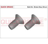 OJD Quick Brake Screw Set Brake Disc 11670K for Land Rover Freelander 2 LR2/Discovery/Van