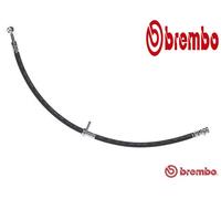 FRONT / RIGHT BRAKE HOSE T 79 043 BREMBO I