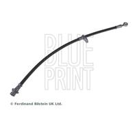 Front Right Brake Hydraulic Hose Line Fits Honda Accord 2.0 Blue Print ADH253203