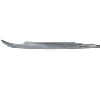 Front Right Bumper Trim Strip For: CADILLAC ESCALADE IV 01.14-