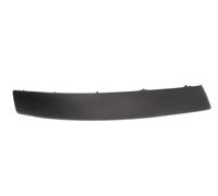 Front Right Bumper Trim Strip For: CITROEN C4 I 04.11-10.12