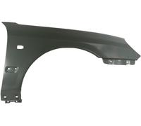 Front right fender fits: HYUNDAI SONATA IV 10.01-11.04