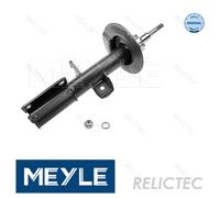 Front Right Shock Absorber Strut BMW:E53,X5 31306754342 31316764606 31316764604