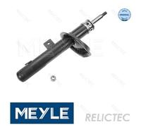 Front Right Shock Absorber Strut Peugeot:206,SW,206+,CC 5202.LW 5202.W8