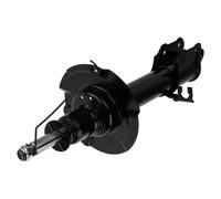 NTY Shock Absorber A-MZ-040 for Ford Mazda Front Axle Left Strut