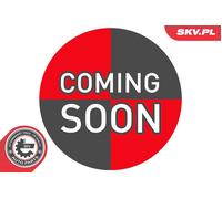 ESEN SKV 92SKV019 Track rod end