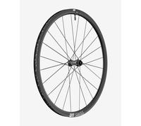 Front wheel DT Swiss AR 1600 Spline Center Lock 30" Thru axle 12x100 mm - 29