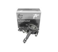 ESEN SKV 73SKV252 Steering knuckle