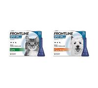 FRONTLINE Spot On Flea & Tick Treatment for Cats - 6 Pipettes & Spot On Flea & Tick Treatment for Small Dogs (2-10 kg) - 3 Pipettes