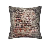 FROON Four Seasons Universal Ancient Worn Brick Wall Pillow Cover Ideal As A Sofa Pillow, Waist Cushion, Or Decorative Seat Pad