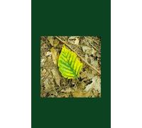 Frost and Fire: Book 1: Bound by the Seasons