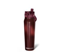Frost Buddy 32oz Insulated Water Bottle - Straw & Chug Lid - Leak-Proof