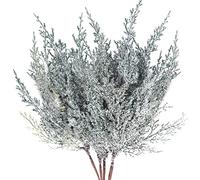 Frosted Artificial Cedar Pine Branches 16.5" Christmas Greenery Picks Sprays Cedar Stems with Snow Faux Cedar Pine Sprigs Twigs for Table Centerpieces Floral Arrangements Winter Decor Set of 4 (4)