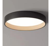 Frosted Black Ceiling Light For Bedroom Luxury Unique Energy-saving Lamp Dimmable LED Light Source Nordic Style Lighting For Office Dining Room Bathroom Above The Mirror