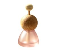 Frosted Glass Reeds Diffuser Bottle, Elegant Aromatherapy Jar | Premium thickened frosted glass bottle, refillable design, fits for home and car decor Pink B
