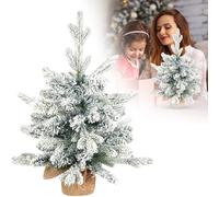 Frosted Sable Pine Artificial Christmas Tree,Tabletop Christmas Trees Artificial Mini Small 18 inches Snowy Green Xmas Pine Tree for Table Desk Home Christmas Decor (White)