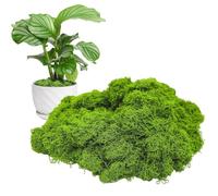 FrostyFlair Artificial Moss for Decorating 300g, Nativity Accessories Moss & Artificial Moss, Crafting Moss for Decor, Moss Art, Crib & Table Decoration