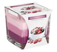 Frozen Berries Scented Candle in Glass Jar 2 Wicks Assorted Fragrance Home Decor Xmas Gift