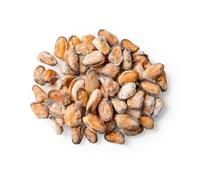 Frozen Cooked Mussel Meat 454g x 24 Packs - Premium Quality Mussels, Ready to Use, Tender & Flavourful Seafood