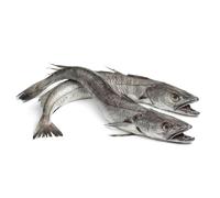 Frozen Hake Fish Box 10kg - Premium Wild-Caught White Fish Fillets - Skinless & Boneless Frozen Seafood for Frying, Grilling & Baking - High-Protein, Low-Fat Fish