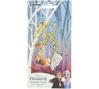 Frozen Key Charms