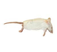 Frozen Mice - Jumbo Size 30g up - Pack of 10