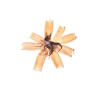 Frozen Patagonian Cleaned Squid 10-13cm (1kg x 6 Packs)