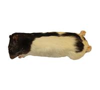 Frozen Rat Large - 250-350g - Pack of 2